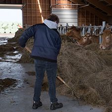 Hooi - Natuur Boerderij Plassendaal