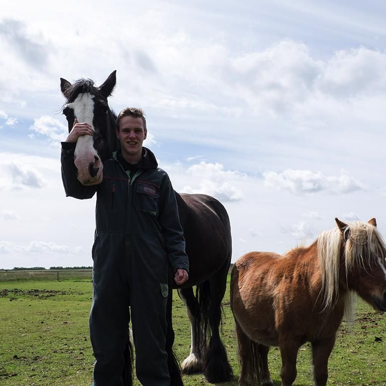 Paard - Natuur Boerderij Plassendaal