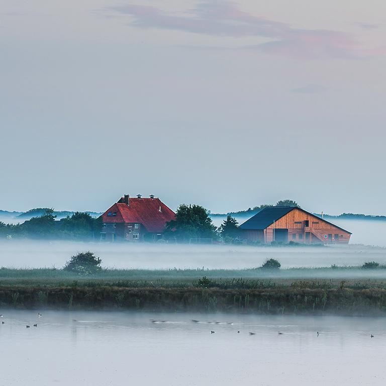 NatuurBoerderij - Natuur Boerderij Plassendaal