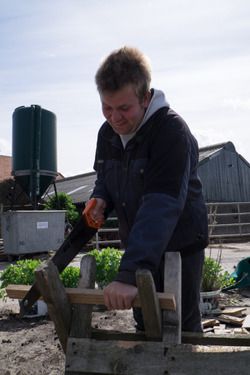 Man - Natuurboerderij Plassendaal